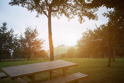View from a wooden picnic table under a tree over a green hill at sunset