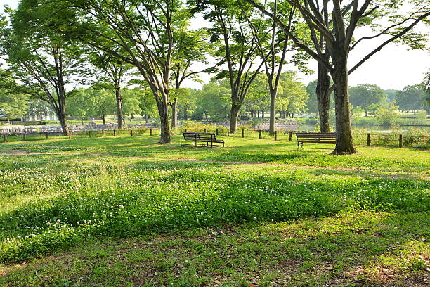 istock Landscape of the park 599686278