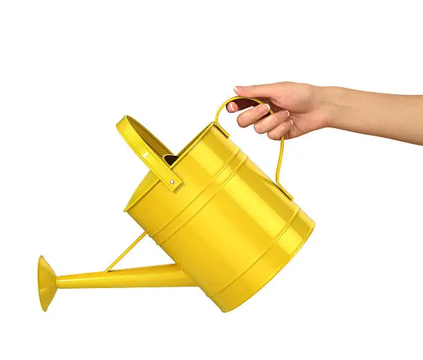 Concept of gardening. Woman hand hold the yellow watering can isolated on a white background.
