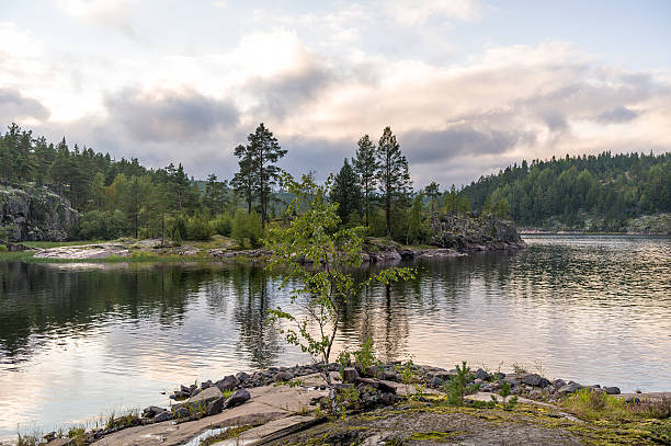 istock Karelia republic nature 599688342