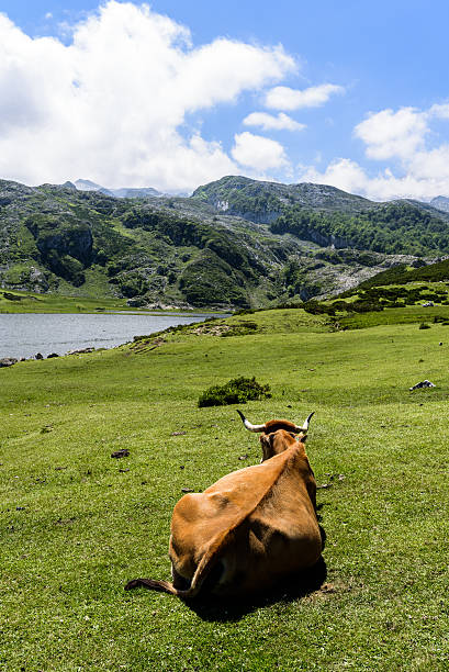 zingAma landscape with endless sea stock photo