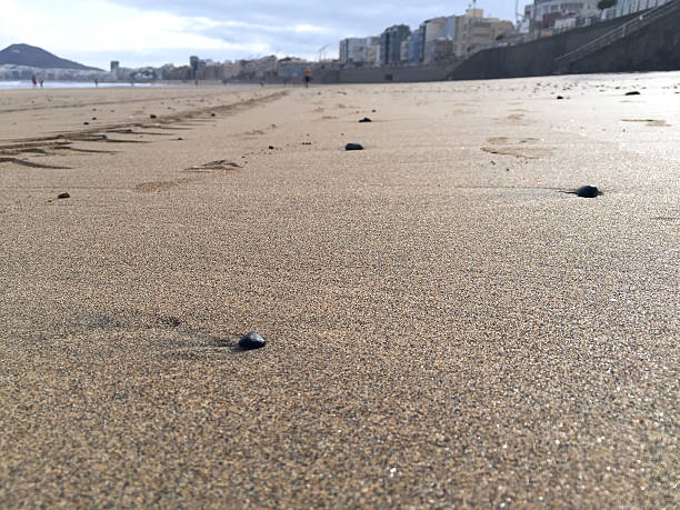 Footprints on the sand stock photo