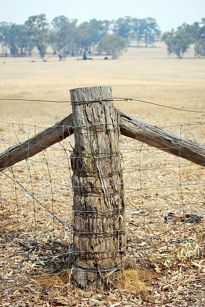 Fence Post, Australian Rural Scene stock photo