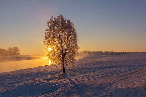istock Fog at the river during a winter sunrise 599694304
