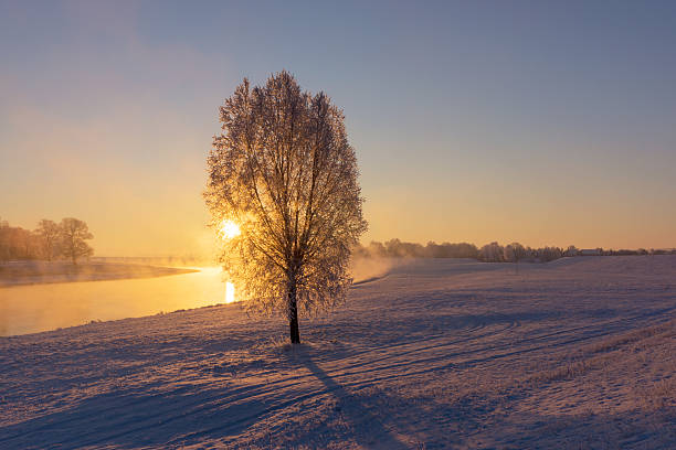istock Fog at the river during a winter sunrise 599694454