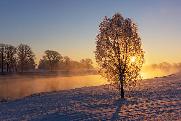 istock Fog at the river during a winter sunrise 599694594