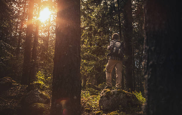 istock Traveler walking alone in the forest at sunset 599696546