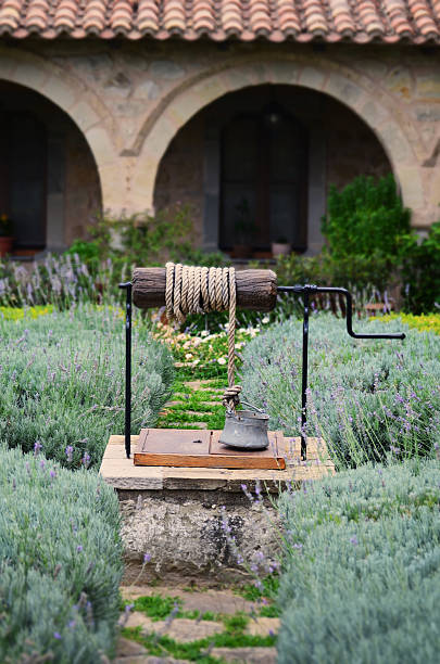 istock levender garden and fount. 599698574