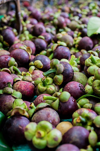 istock fresh sweet mangosteen from the farm 599698808
