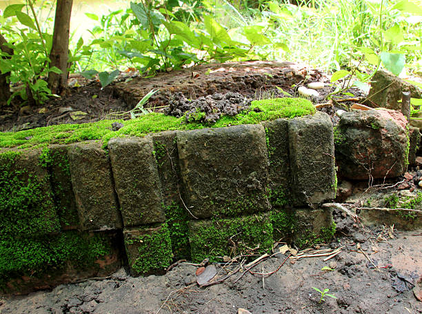 istock many excrement of earthworm and green moss  on old bricks 599699374