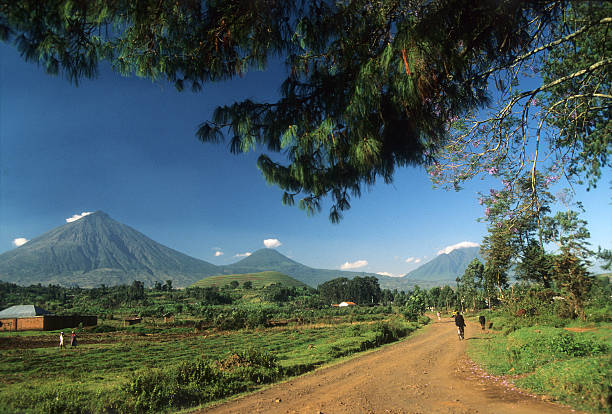Kisoro, Uganda - september 26, 1995: Virungas volcanoes in background viewed from Kisoro town, Uganda, Uganda. From left to right, Mt. Muhavura, Mt. Mgahinga, Mt. Sabinyo,  habitat of the mountain gorilla