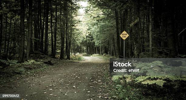 End Of The Road Stock Photo - Download Image Now - Road, Dead End Sign, Forest