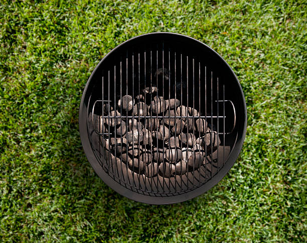 istock Charcoal BBQ in the Backyard on Grass 599700660