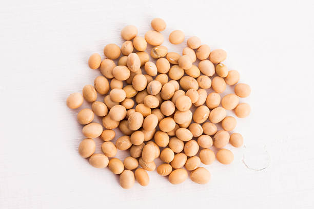 Soybean seeds on white background close-up view