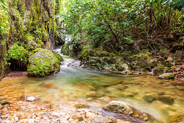istock Beautiful waterfall and small river from mountain in rain forest 599701414