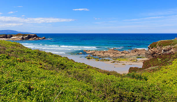 istock Summer blossoming Atlantic coastline (Galicia). 599701750