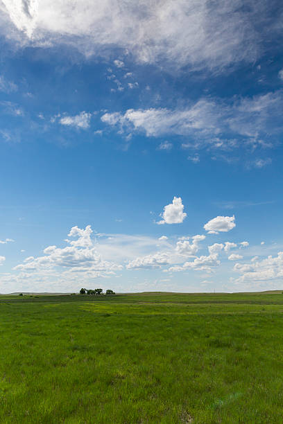 istock plains, grassland, Black Hills, Wyoming, USA 599705836