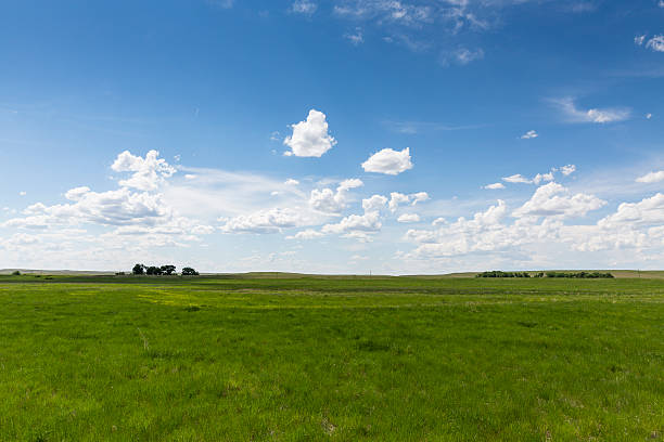 istock plains, grassland, Black Hills, Wyoming, USA 599706444