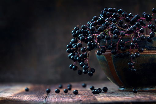 Black elderberries bunch (Sambucus nigra) in an old clay bowl and some berries on a rustic wooden table against a dark background with copy space, low key vintage still life, closeup with selected focus and extremely narrow depth of field
