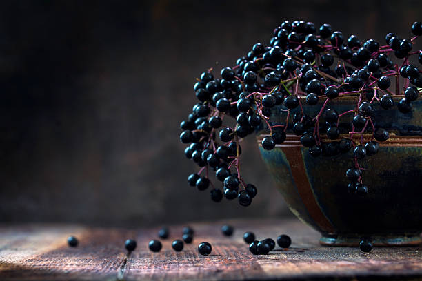 Black elderberries (Sambucus nigra) in a bowl, dark rustic wood Black elderberries bunch (Sambucus nigra) in an old clay bowl and some berries on a rustic wooden table against a dark background with copy space, low key vintage still life, closeup with selected focus and extremely narrow depth of field still life stock pictures, royalty-free photos & images
