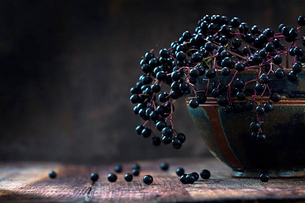 Black elderberries (Sambucus nigra) in a bowl, dark rustic wood Black elderberries bunch (Sambucus nigra) in an old clay bowl and some berries on a rustic wooden table against a dark background with copy space, low key vintage still life, closeup with selected focus and extremely narrow depth of field elderberry photos stock pictures, royalty-free photos & images