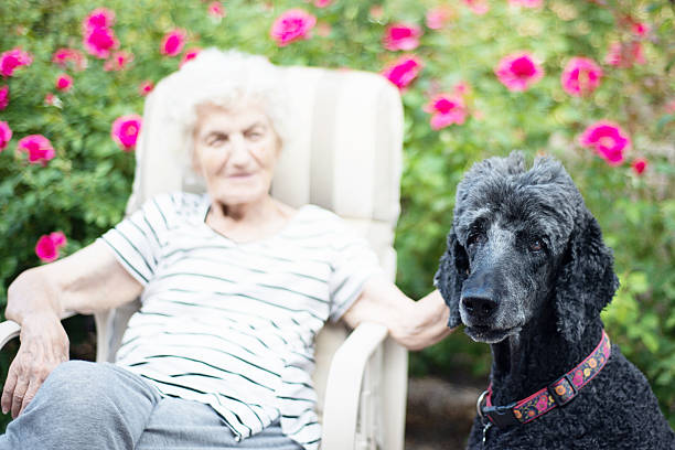 istock Senior Woman Talking to Therapy Dog 599711618