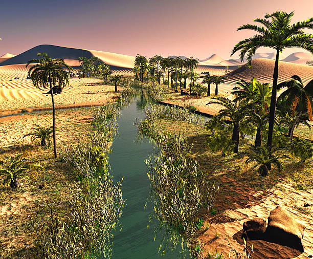 istock Palm trees near oasis 3d illustration 599713088