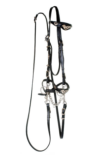 istock spanish bridle for horse 599713162