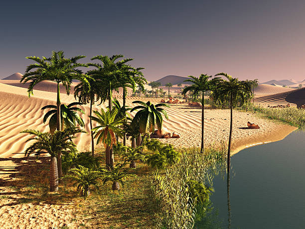 istock Palm trees near oasis 3d illustration 599713206