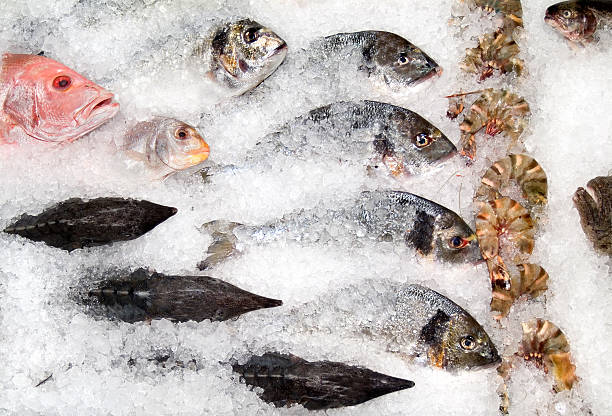 рыба счетчик - dead animal стоковые фото и изображения