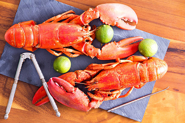 720+ Two Lobsters Stock Photos and Royalty-Free Pictures - iStock 720+ Two Lobsters Stock Photos and Royalty-Free Pictures - iStock