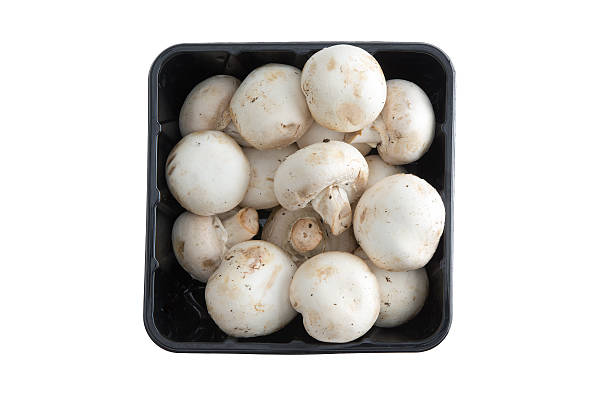 contenitore di funghi a bottone fresco dell'azienda agricola - edible mushroom white mushroom isolated white foto e immagini stock