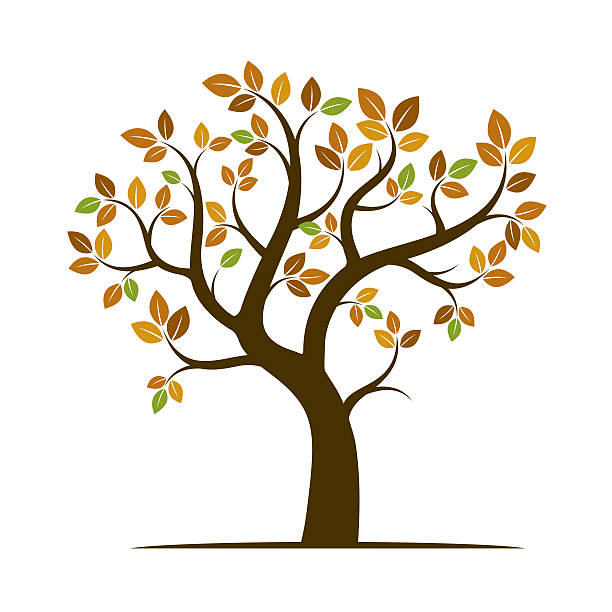 illustrazioni stock, clip art, cartoni animati e icone di tendenza di forma dell'albero d'autunno. illustrazione vettoriale. - albero spoglio
