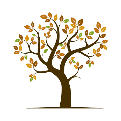 Shape of Autumn Tree. Vector Illustration. Nature and garden.