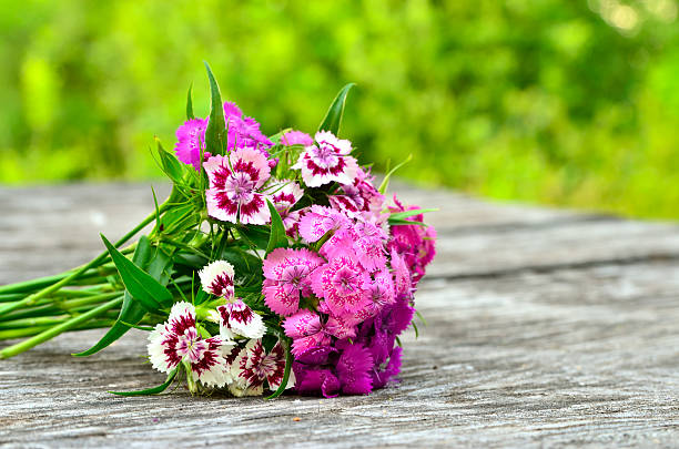 Bouquet of small carnations on a wooden background Bouquet of small carnations on a wooden background dianthus barbatus stock pictures, royalty-free photos & images