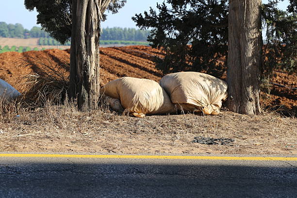 istock Plastic Bags near the road. 599754438