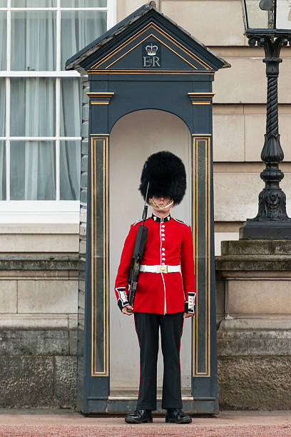 guarda real britânico - honor guard buckingham palace protection london england imagens e fotografias de stock