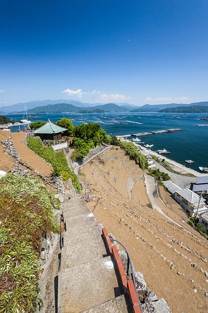 istock Steep terraced fields in Uwajima, Japan 599762824