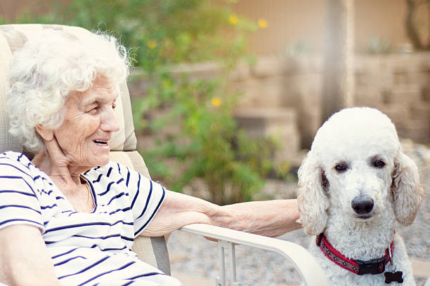 istock Senior Woman Talking to Therapy Dog 599763794