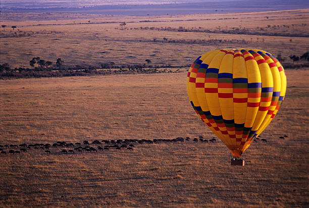 istock Balloon flying over the wildbeast migration, Masai Mara Reserve, Kenya 599763938