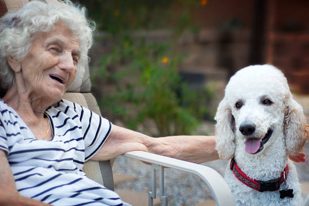 istock Senior Woman Talking to Therapy Dog 599763968