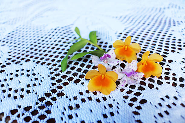 istock Dendrobium lindleyi Steud Orchid. 599765378