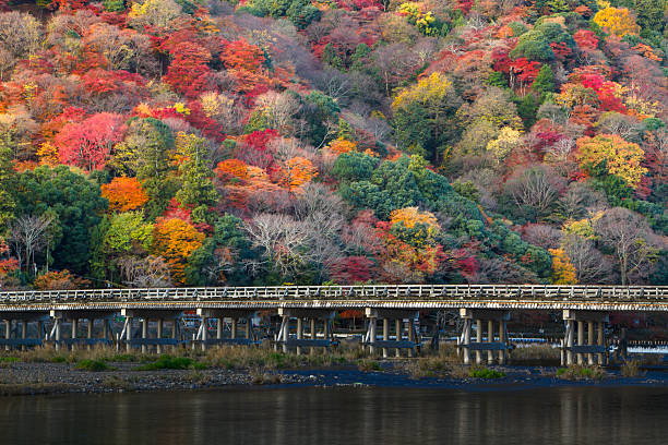 outono em kyoto arashiyama - togetsu kyo bridge - fotografias e filmes do acervo