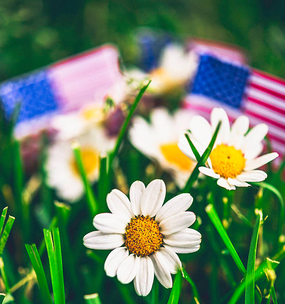 istock Daisies in grass with American flag 599768040