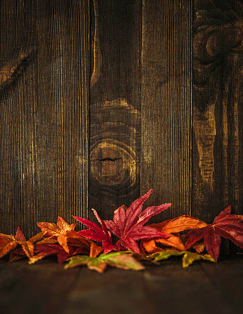 Leaf and flowers on a wood boardLeaf and flowers on a wood board