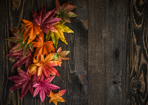 Fall leaves background with wood background for Thanksgiving messagesFall leaves background with wood background for Thanksgiving messages
