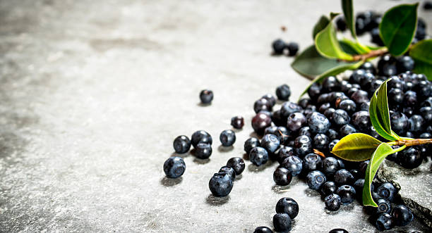 istock Forest blueberries with the older leaves . 599771052