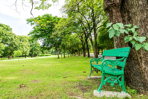 Romantic bench in public park in summer
