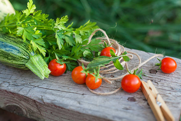 verduras y verduras en un jardín - foto de stock