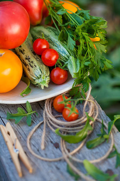 verduras y verduras en un jardín - foto de stock